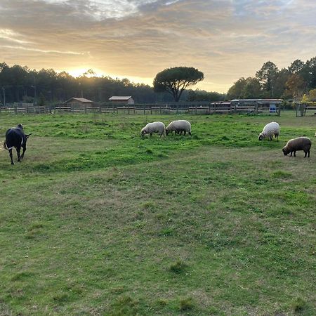 Gite - La Ferme A La Plage Le Porge Zewnętrze zdjęcie