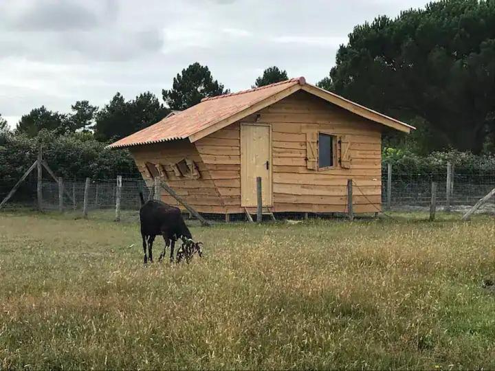 Gite - La Ferme A La Plage Le Porge Zewnętrze zdjęcie